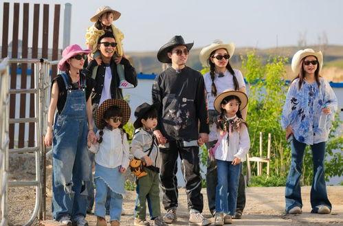 老爸当家2,温馨家庭再续传奇