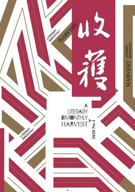 收获 2020,回顾与展望